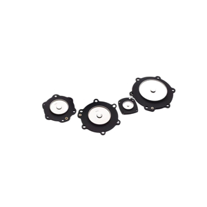 Kit Pembaikan Injap Nadi Diafragma Gegelung Solenoid Spring Angker